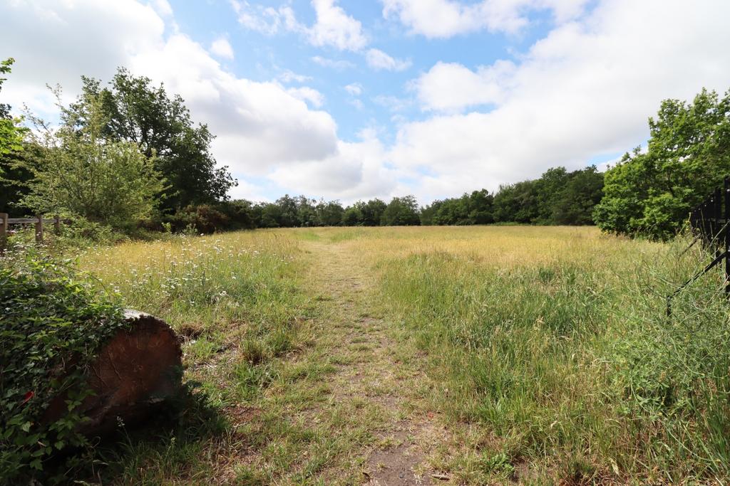 Field