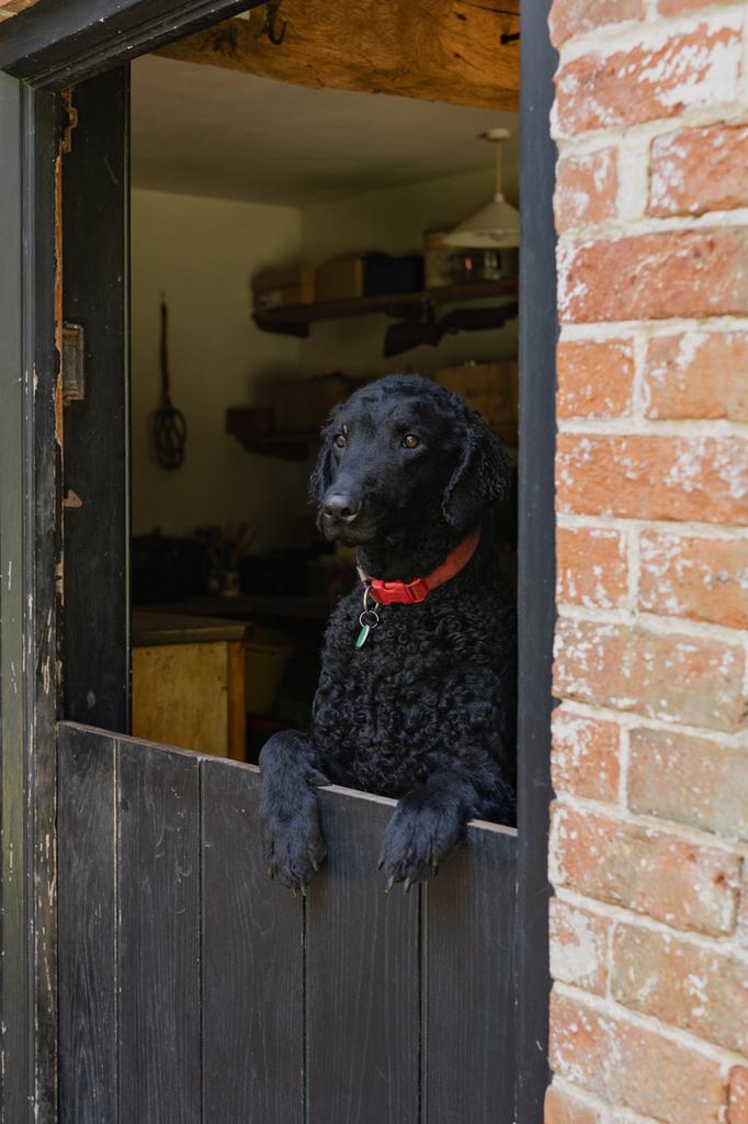 284342 - Temple Bar House, Earsham, Bungay-45.jpg