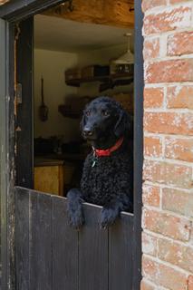 undefined, Temple Bar House, Earsham, Norfolk