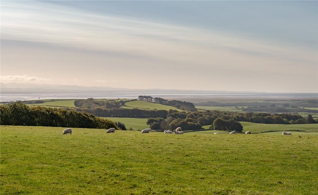 Birset View