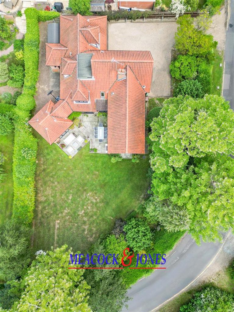 DJI 0319.jpg