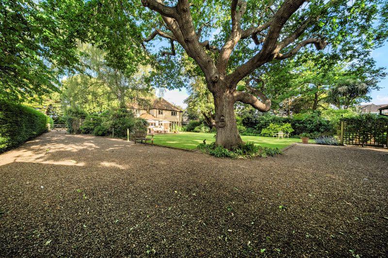 Rear Driveway