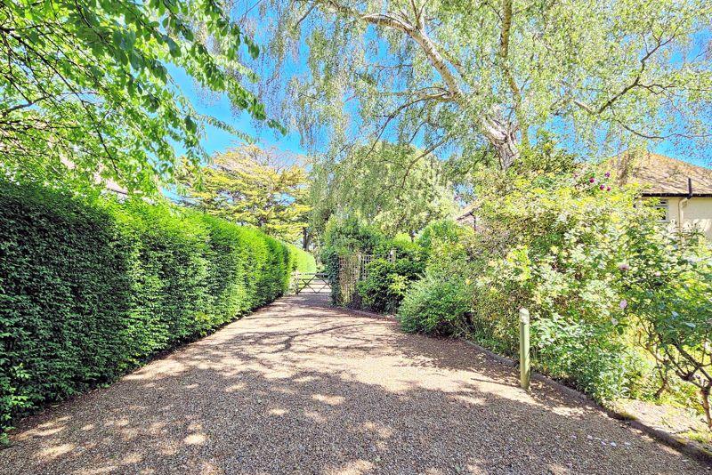 Rear Driveway