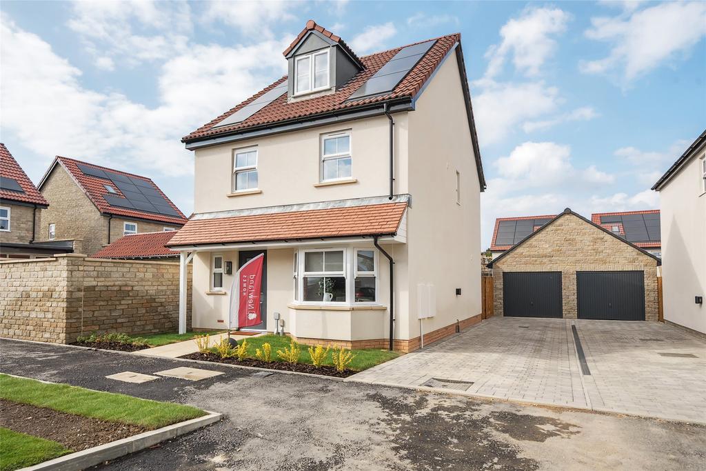 Front View