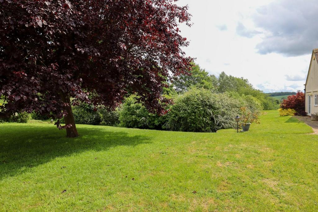 View from patio.jpg