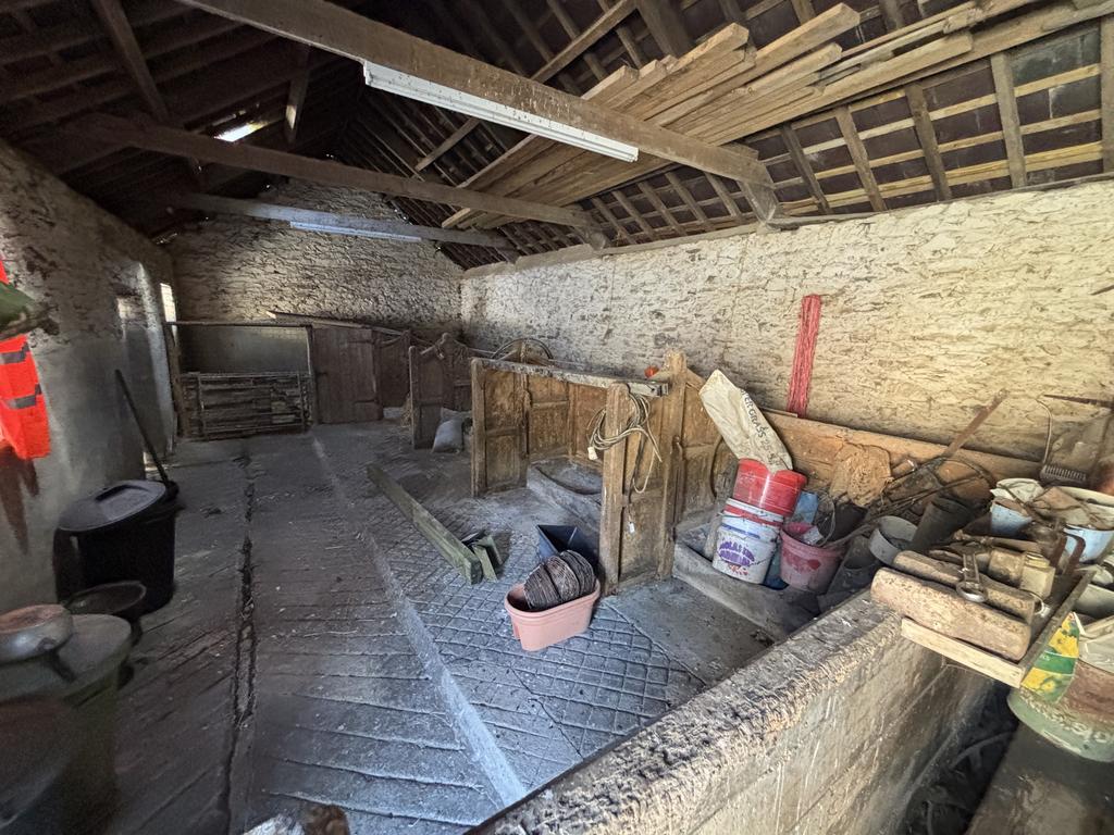 Cow shed (first internal image)