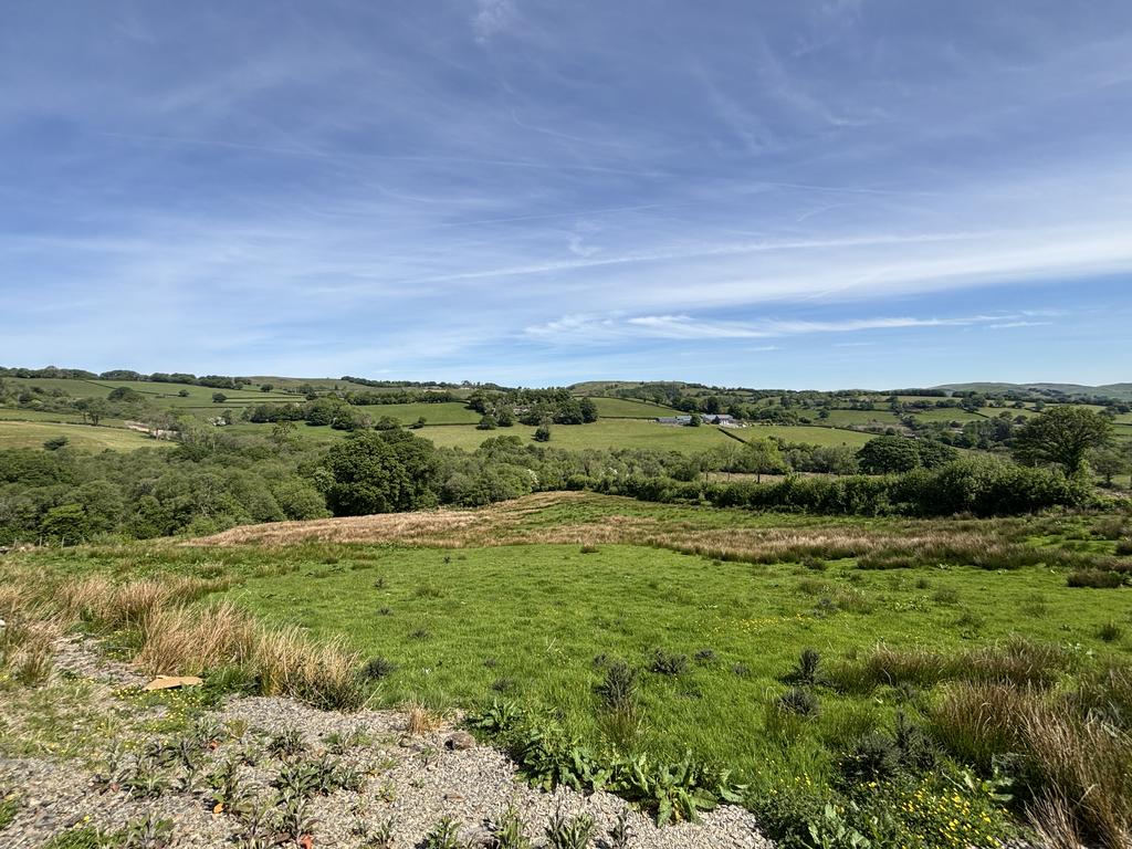 Land (seventh image)