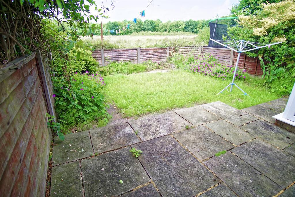 Back garden
