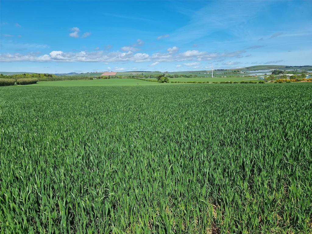 Pittengardner