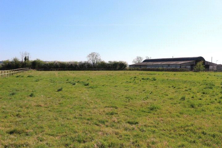 About 12 Acres
