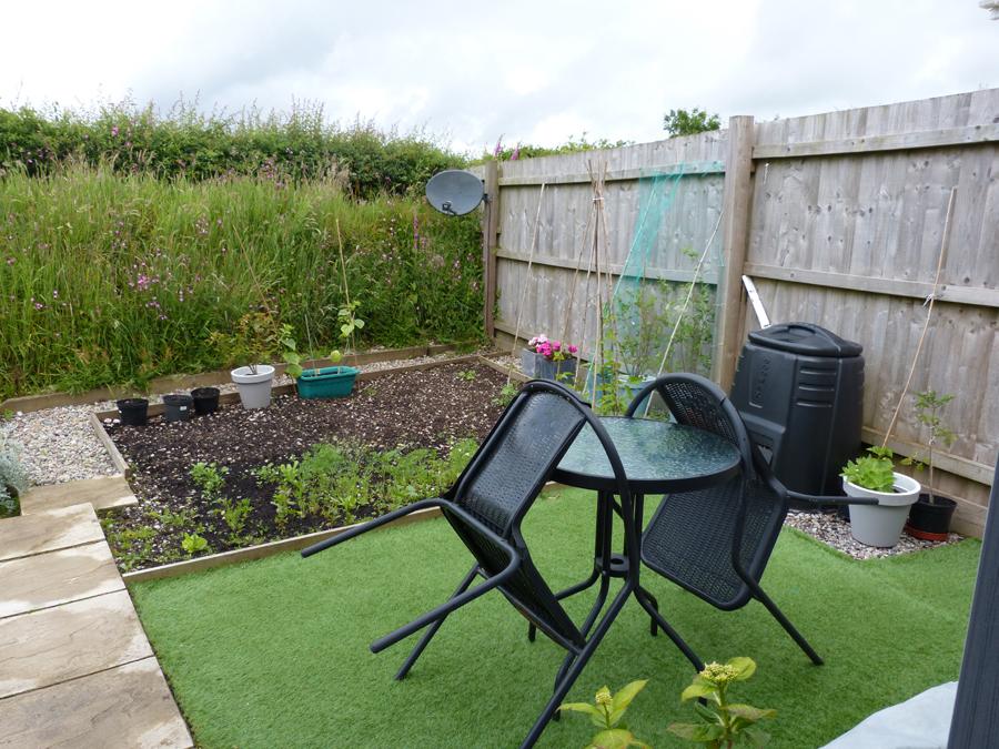 Back Garden