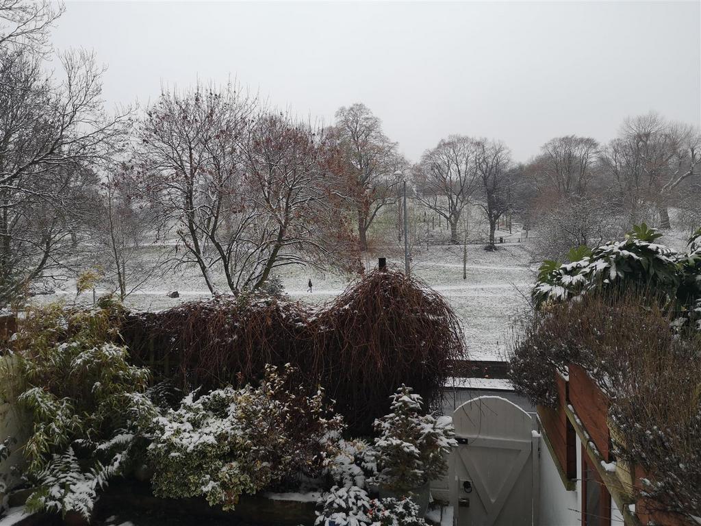 A Winter View