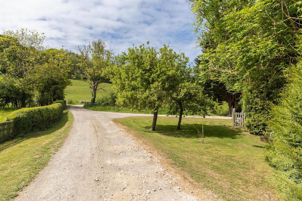 Country Lane