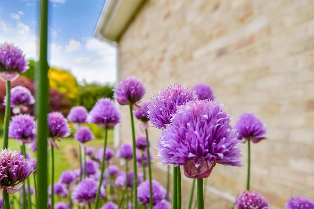 External Lifestyle Photograph