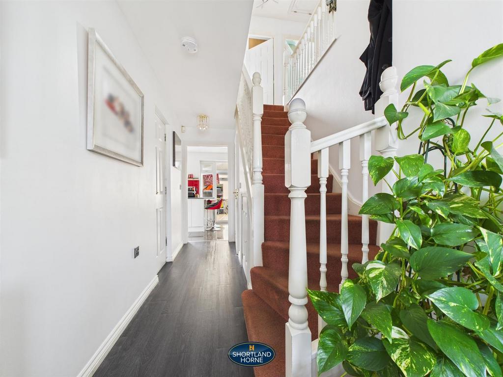 CAM01906 G0-PR0494-STILL001.jpg