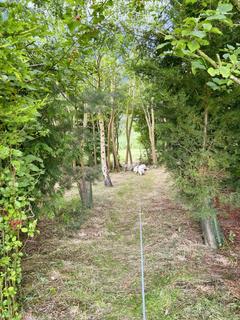 2 bedroom park home for sale, Rivulet Leisure Park, Low Road, PE24