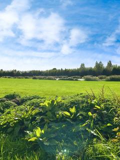 2 bedroom park home for sale, Rivulet Leisure Park, Low Road, PE24