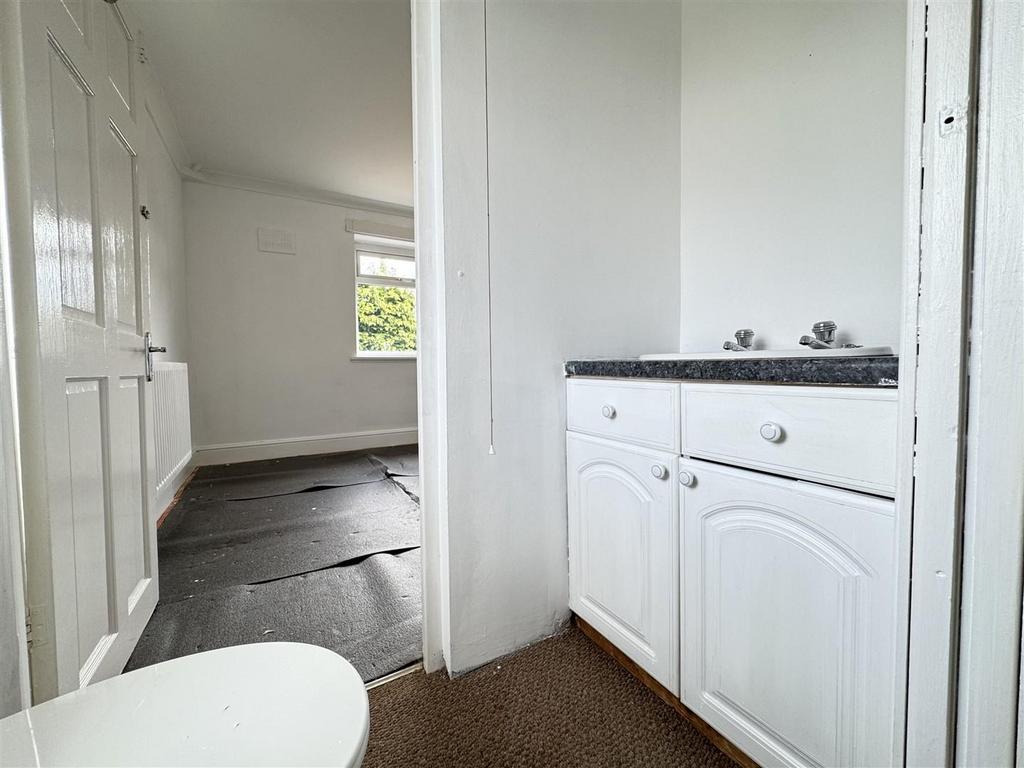 IMG 2977 (Large).JPG