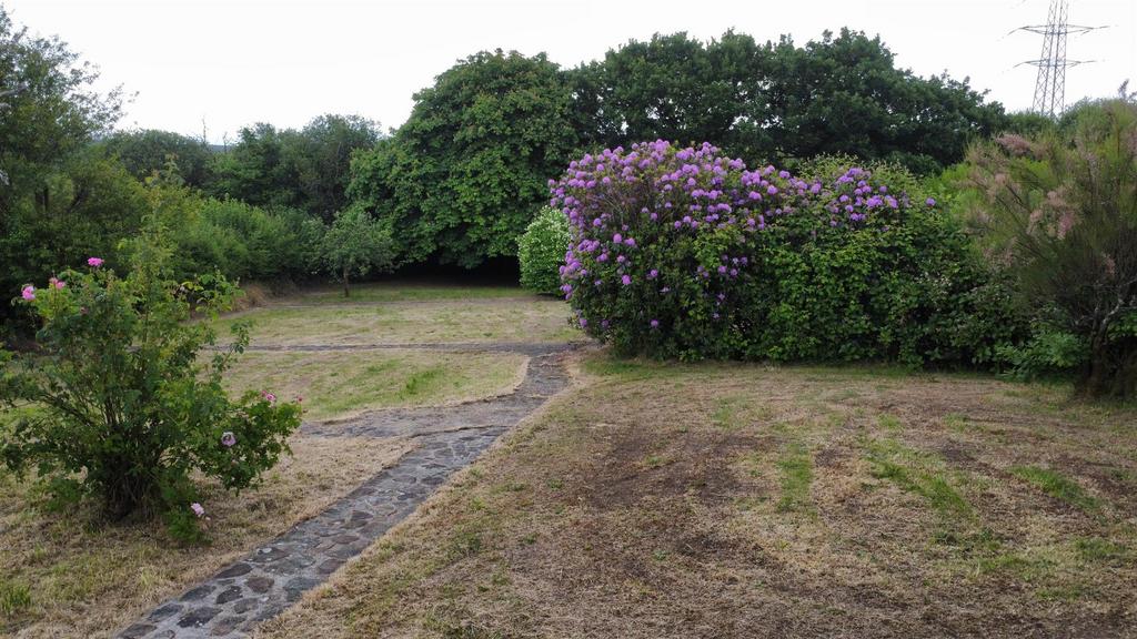 Grounds
