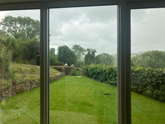 Window view.jpg