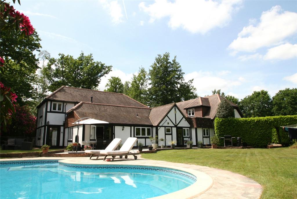 Garden and Pool