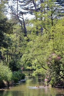 undefined, Catsfield, Battle, East Sussex, TN33