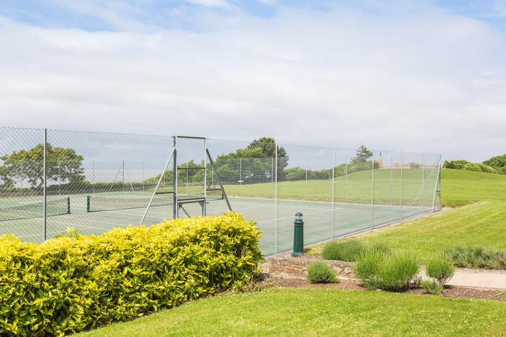 Tennis Anyone?