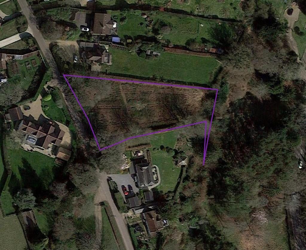 Google View