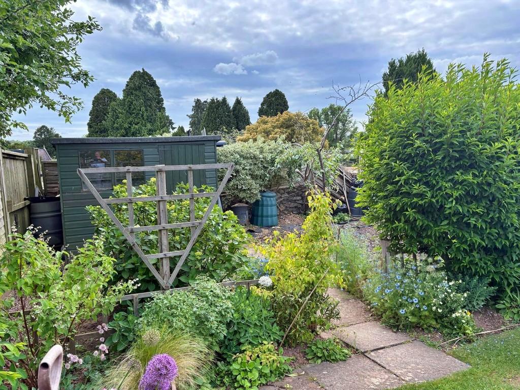 Garden (1)