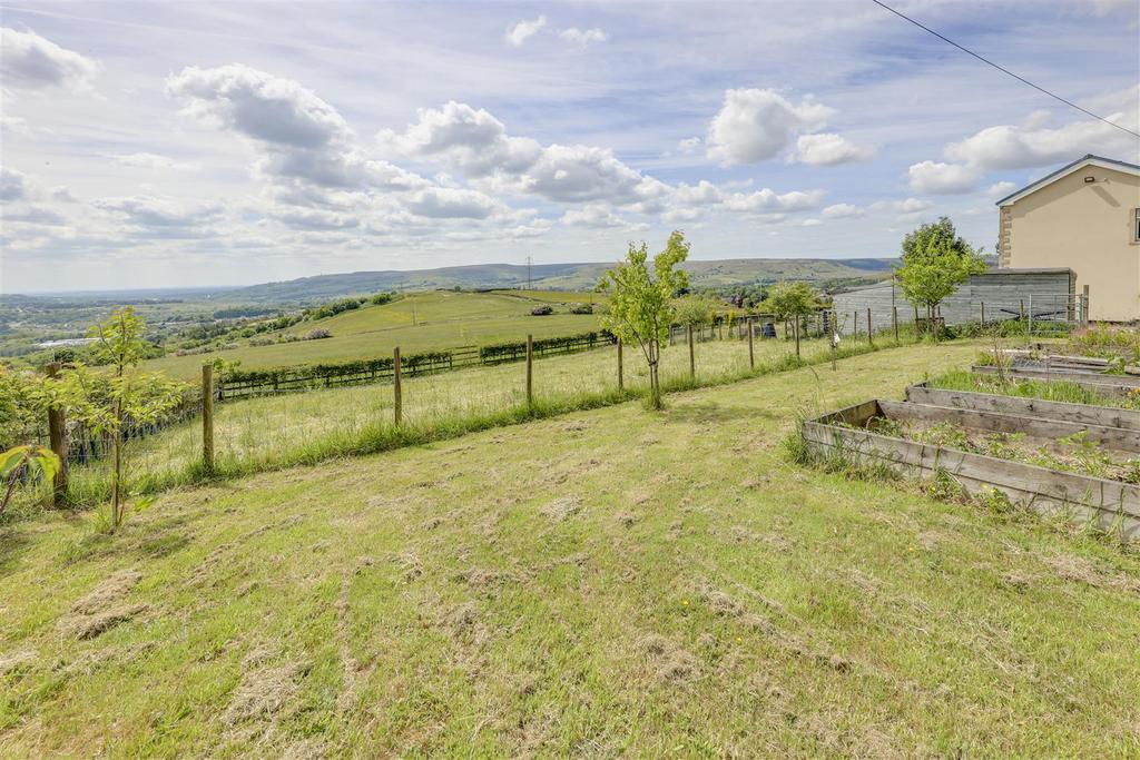 Side Paddock 2