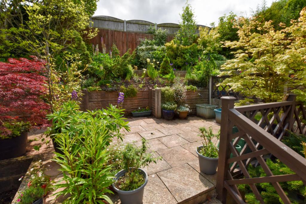 Garden 8