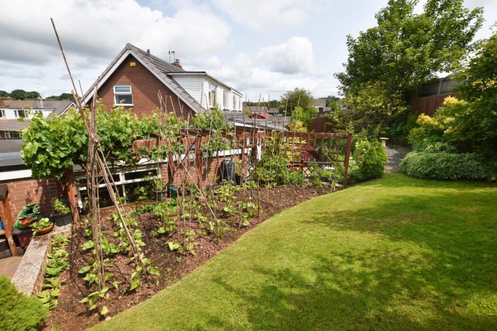 Garden 6