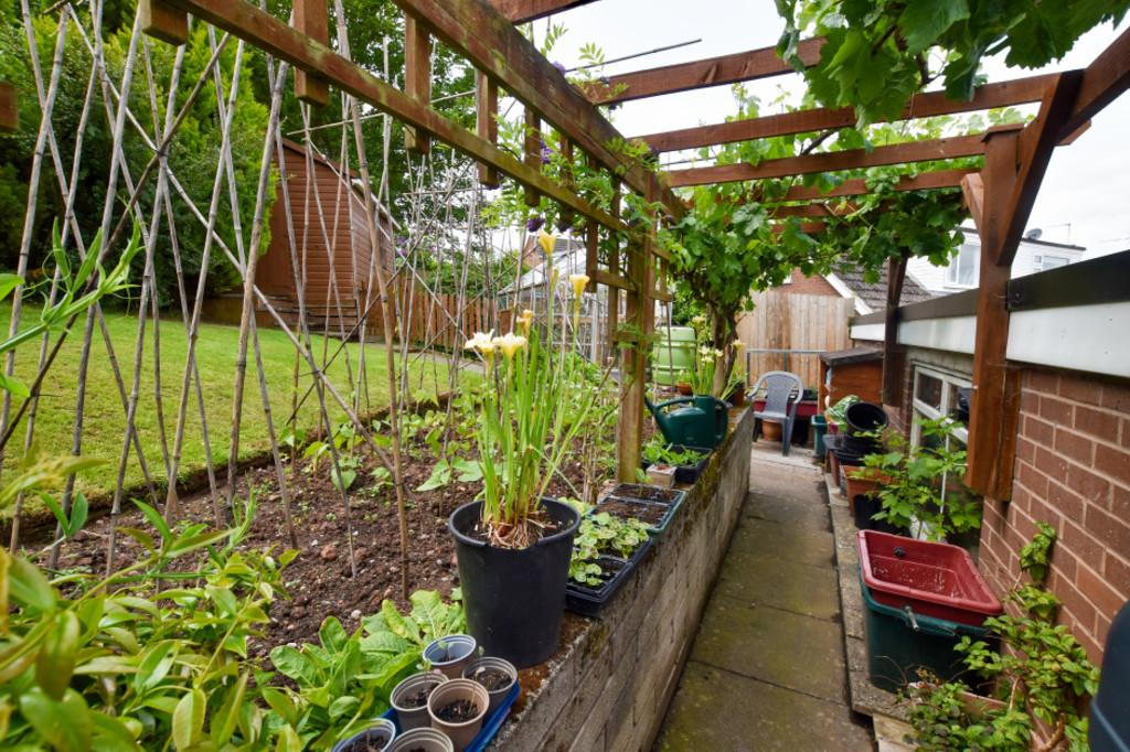 Garden 3