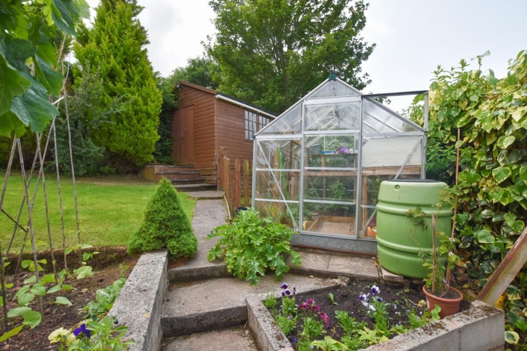 Garden 4