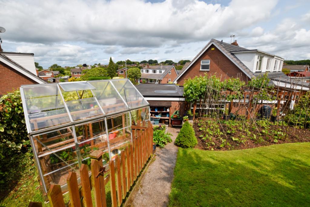 Garden 5
