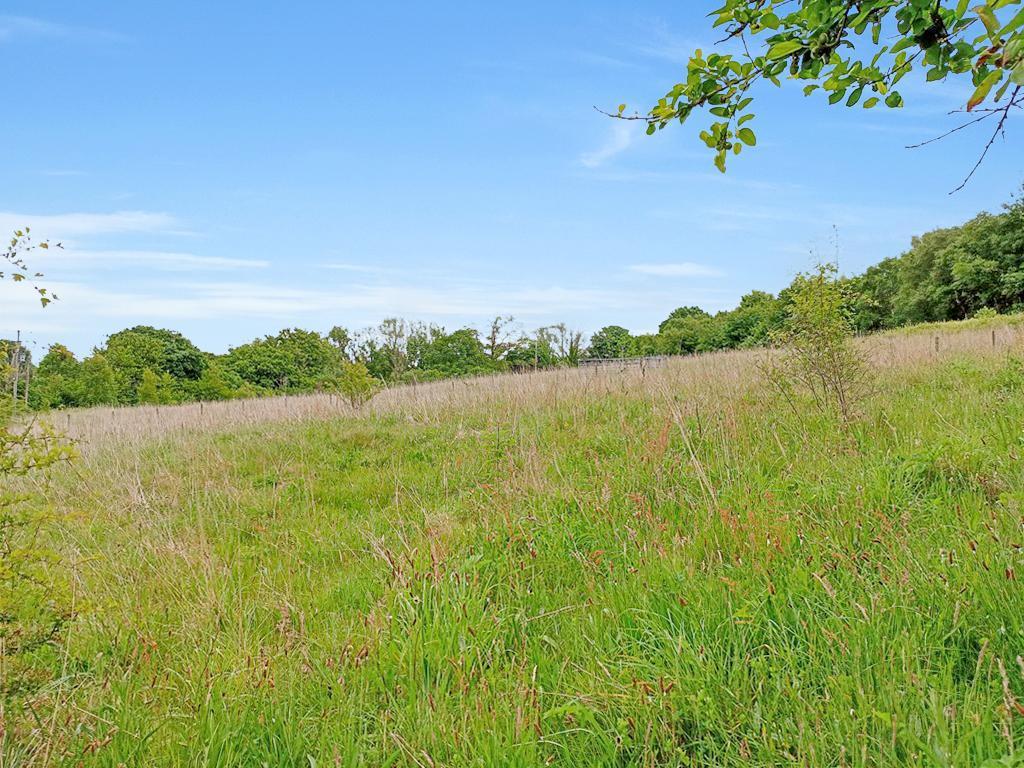 The Main Paddock