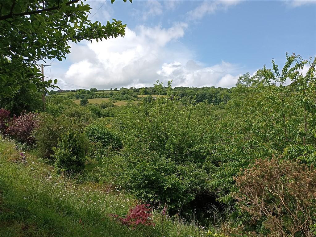 Land And Views