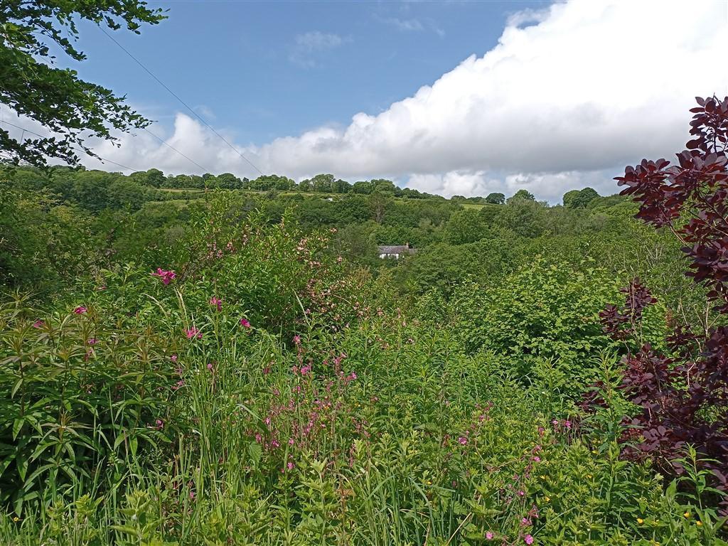 Land And Views
