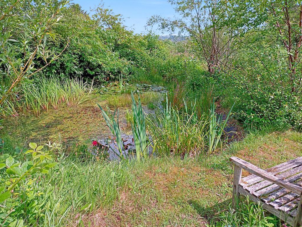 Beautiful Wildlife Pond