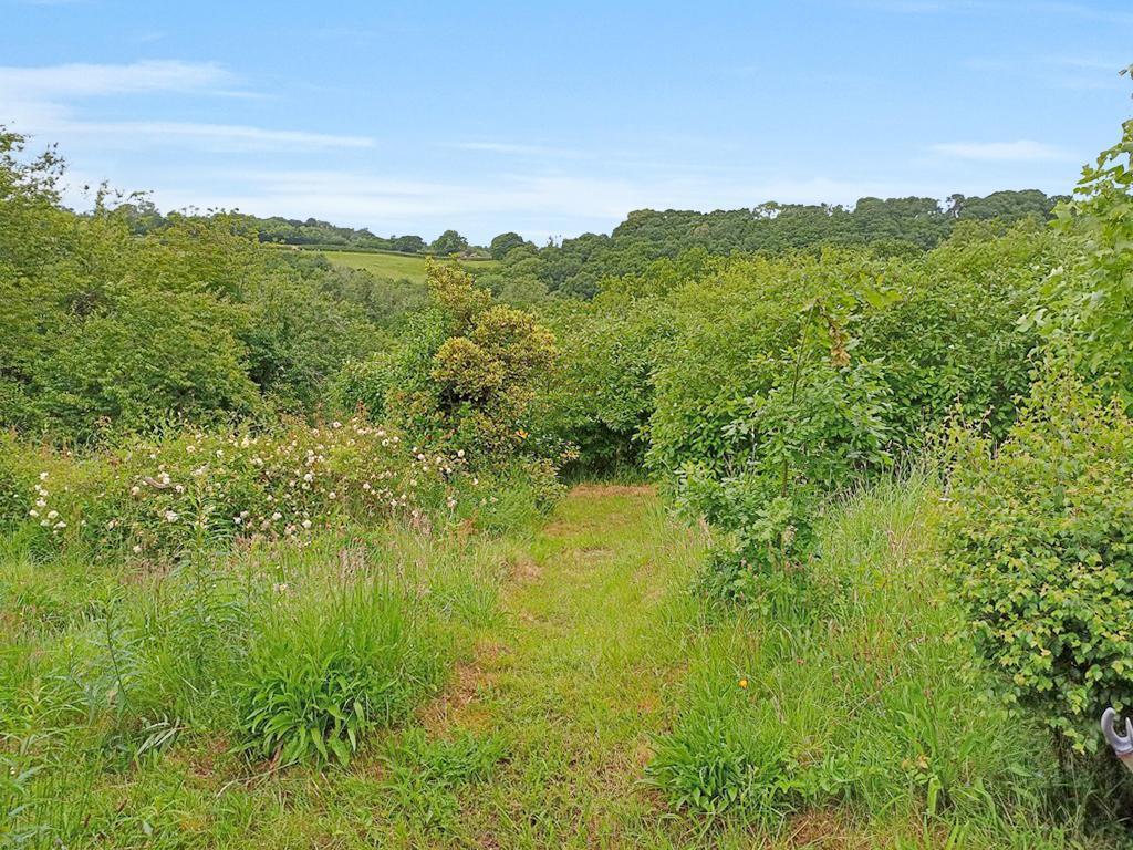 Land And Views