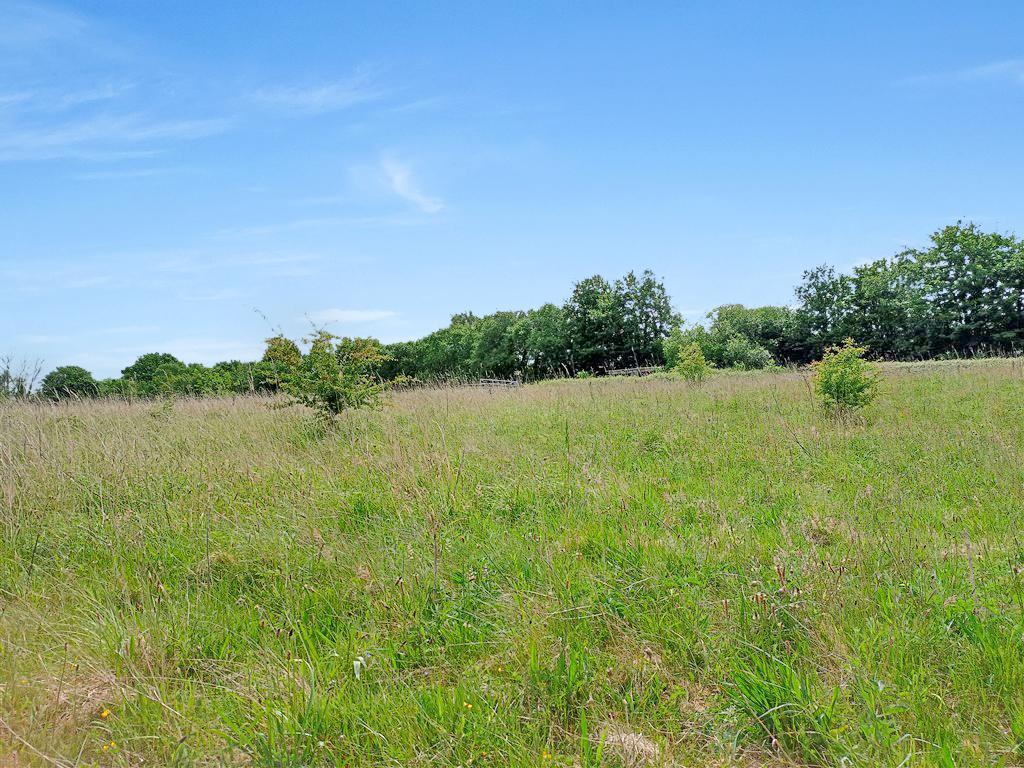 Another View Of Main Paddock