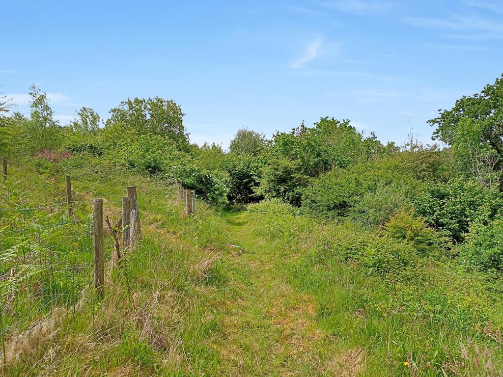 Land And Views