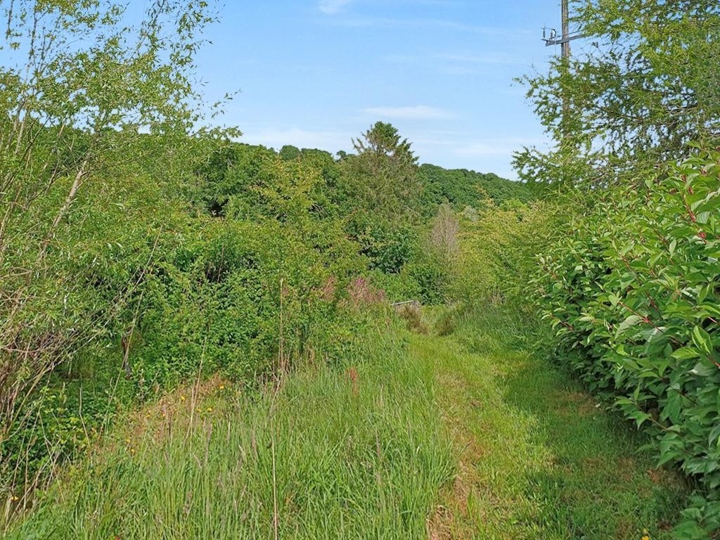Land And Views