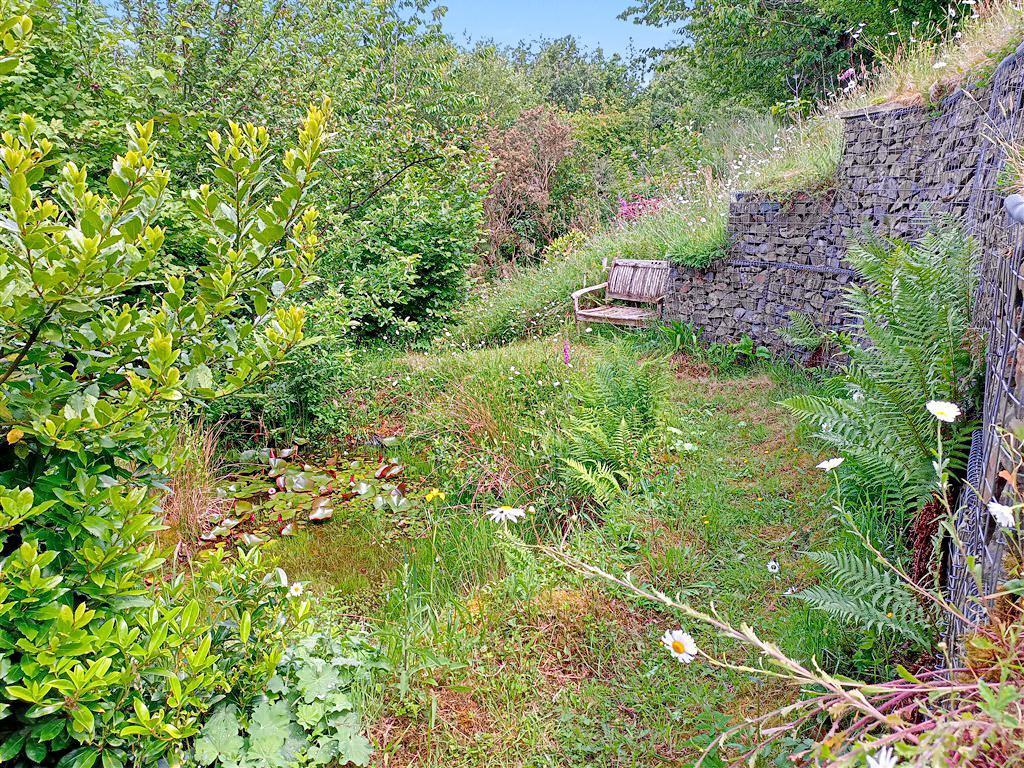 Second Wildlife Pond