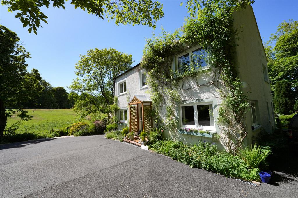Stagwood