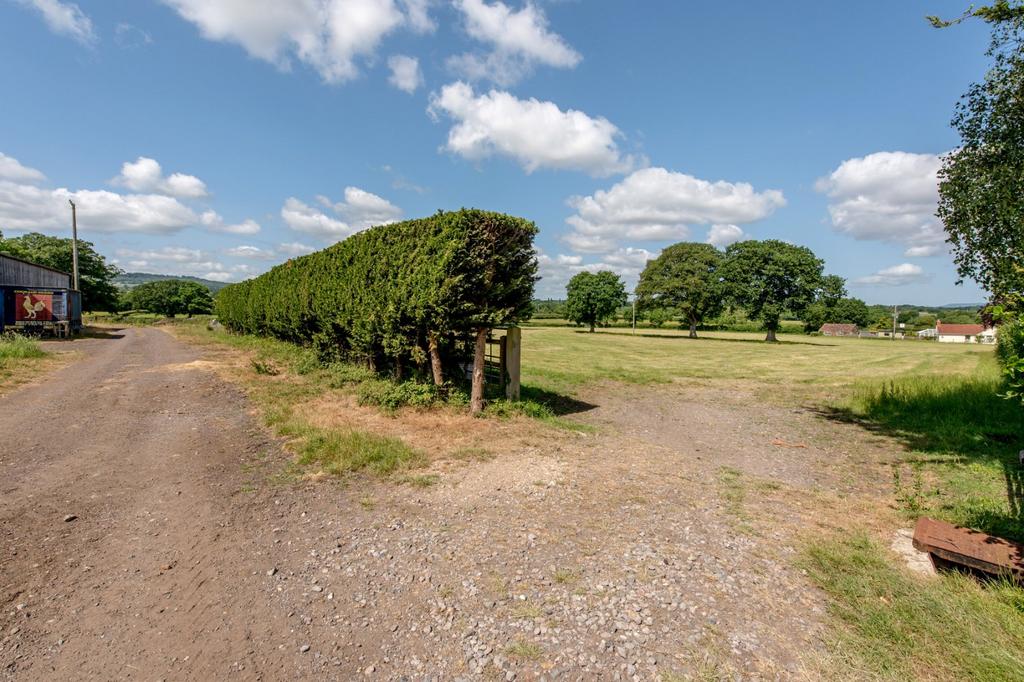 Picture No. 33