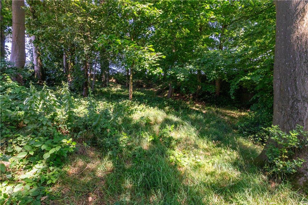 Woodland