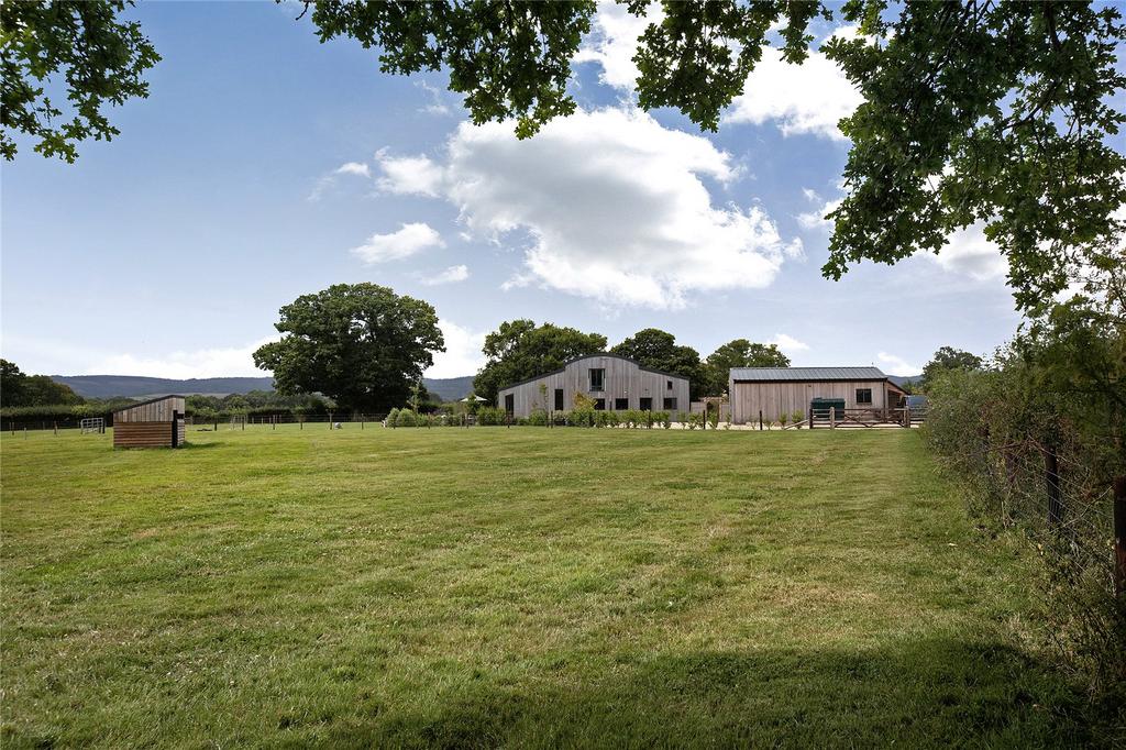Pasture Paddock