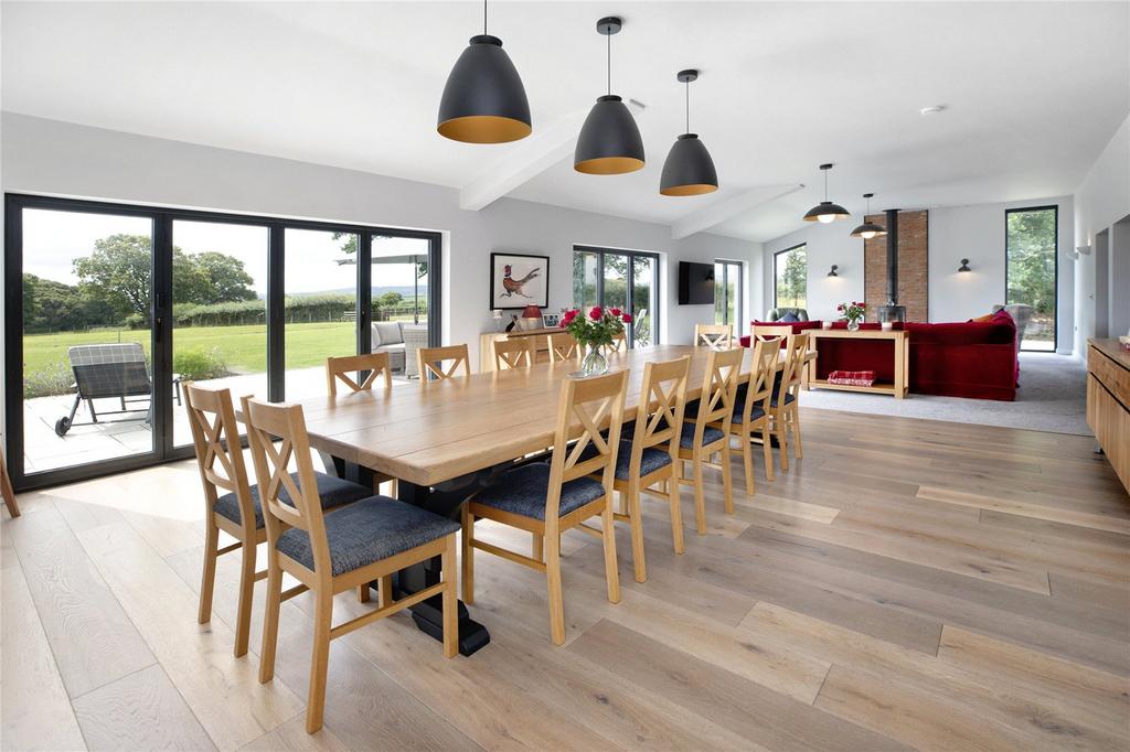 Living/Dining Area