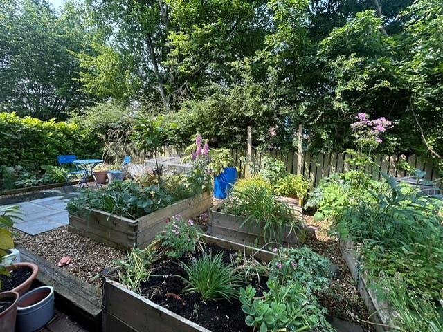 Photo 11.jpg
